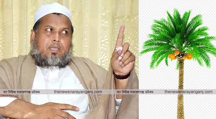 খেজুর গাছে এত ভয় কেন?