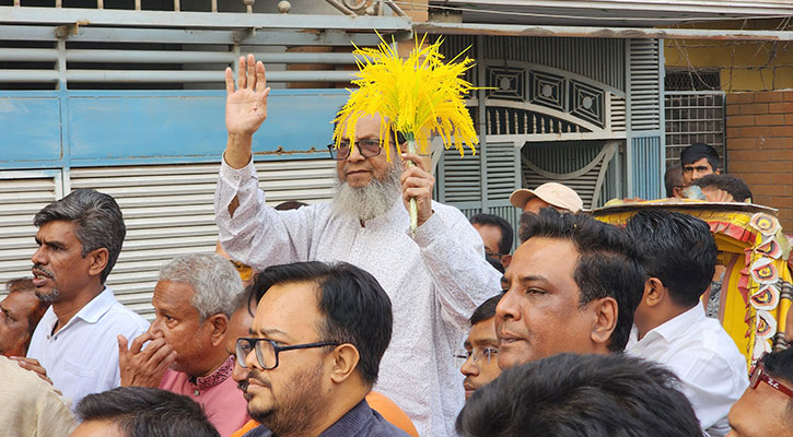 শিল্পপতির নির্দেশে ধানের শীষ ডুবানোর মিশন