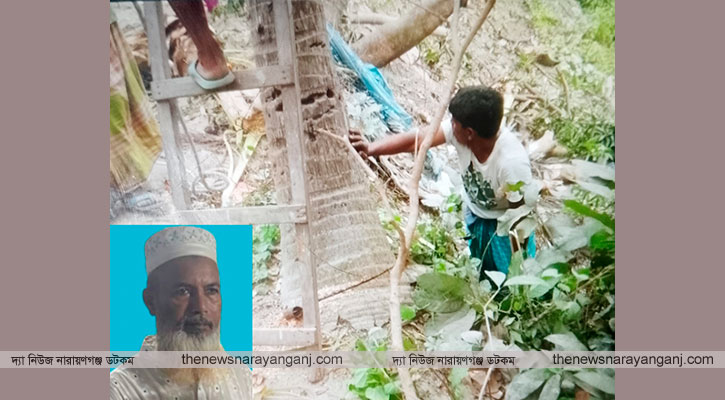 বন্দরে বিরোধের জেরে ৪ ফলজ গাছ কেটে নিল প্রতিপক্ষ