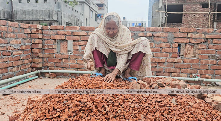 ইট ভেঙ্গে চলছে একাকী জীবনযুদ্ধের সংগ্রাম