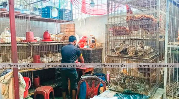 বন্দর খেয়াঘাট যেন মিনি মুরগী বাজার