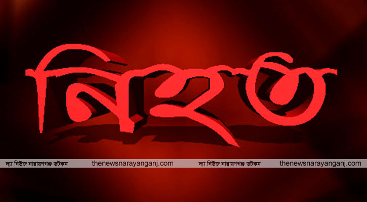 নিতাইগঞ্জে ‎ট্রাক চাপায় ভ্যানচালক নিহত
