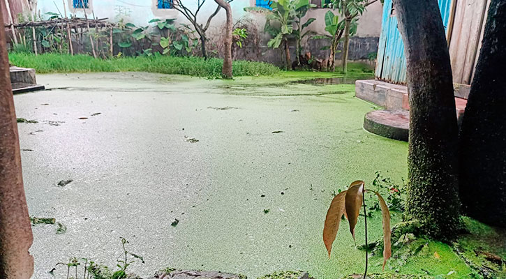 বর্ষণে বন্দরে ৩টি ওয়ার্ডে তীব্র জলাবদ্ধতা
