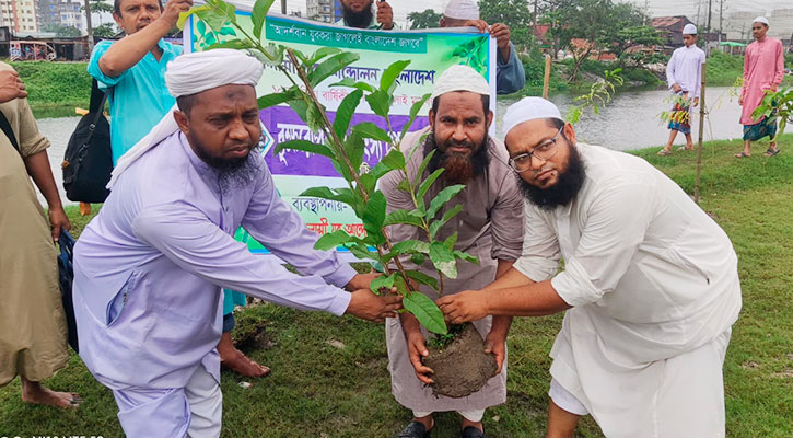 বৃক্ষরোপণ ও মাছের পোনা অবমুক্ত করলো যুব আন্দোলন