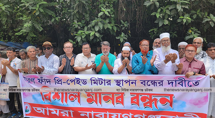বিদ্যুতের প্রিপেইড মিটার মরণ ফাঁদ