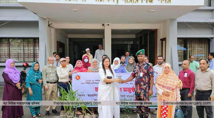 সদর উপজেলায় বিনামূল্যে চারাগাছ বিতরণ