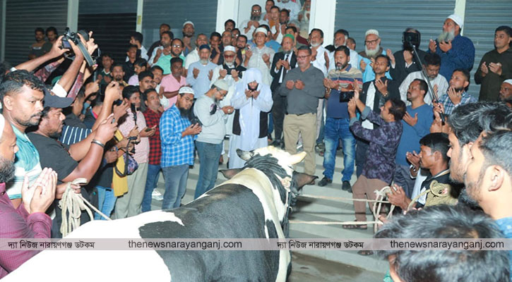 খালেদা জিয়ার সুস্থতা কামনায় গরু সদকা