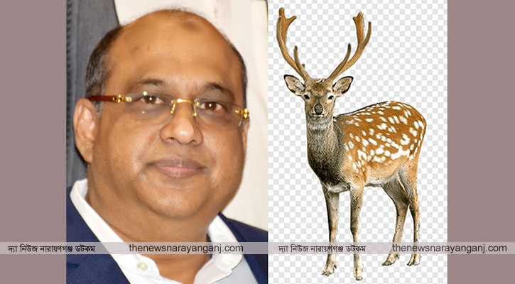 পরিচ্ছন্ন শাহ আলমের হরিণ নিয়ে মাতোয়ারা ফতুল্লাবাসী