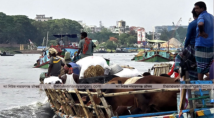 শীতলক্ষ্যায় চলছে গরু ভর্তি ট্রলার