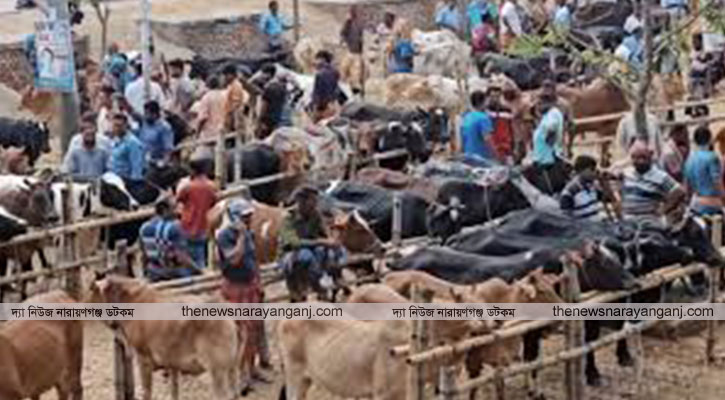 সিদ্ধিরগঞ্জে পশুর হাট নিয়ে উত্তেজনা