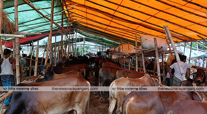 সবুজবাগ মাদ্রাসার মাঠে জমজমাট বাহারি রকমের গরু ছাগলের হাট