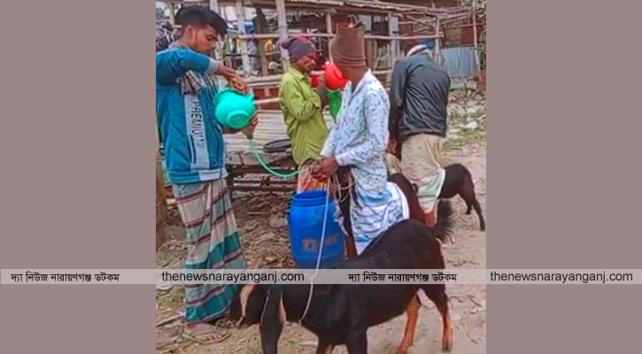 হাটে নল গলায় ভরে পানি খাইয়ে ছাগল হত্যা বেপারী কর্মচারী গ্রেফতার