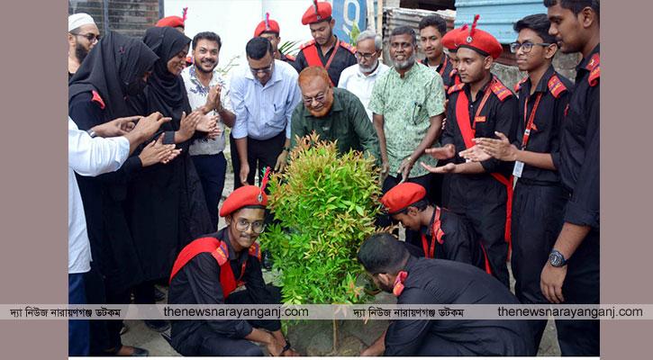 বৃক্ষ রোপণ পরিবেশ উন্নয়নে অনেক ভূমিকা পালন করে : গিয়াস
