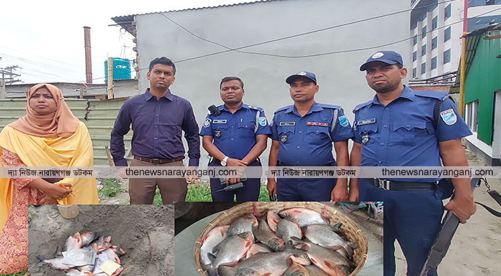 সোনারগাঁয়ে পিরানহা মাছ জব্দ