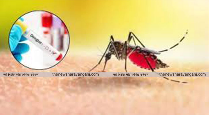 বন্দরে ডেঙ্গুতে গৃহবধূর মৃত্যু