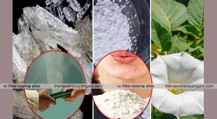 সক্রিয় ‘শয়তানের নিঃশ্বাস’ প্রতারক চক্র