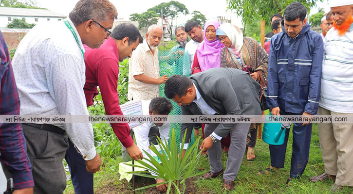 ৩০০ তালের চারা রোপণ করলেন জেলা প্রশাসক