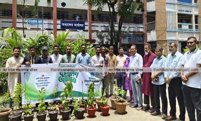 তোলারাম কলেজে ছাত্রশিবিরের বৃক্ষরোপণ