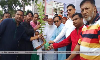 রূপগঞ্জে বৃক্ষ রোপণ ও বিতরণ 