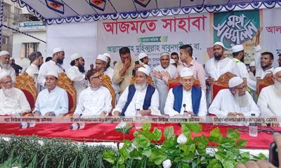 মদিনার ইসলামের চর্চা করি, মওদুদীর ইসলাম না : সালাহউদ্দিন