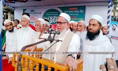 দুটি কাজ করতে না পারলে জনগণের সামনে আসবো না : মনির কাসেমী