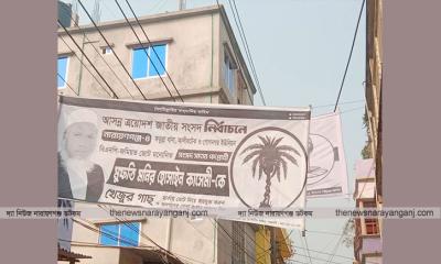 শাপলা কলির ব্যানার ছিঁড়ে সাটানো হচ্ছে খেজুর গাছ