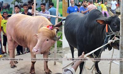 নারায়ণগঞ্জে ডোনাল্ড ট্রাম্প ও দুর্ধর্ষ রহমান ডাকাত