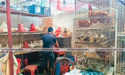 বন্দর খেয়াঘাট যেন মিনি মুরগী বাজার