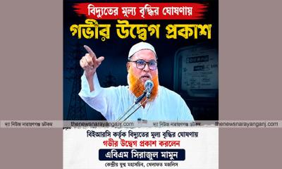 বিদ্যুতের মূল্য বৃদ্ধির ঘোষণায় এবিএম সিরাজুল মামুনের গভীর উদ্বেগ