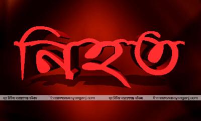 নিতাইগঞ্জে ‎ট্রাক চাপায় ভ্যানচালক নিহত
