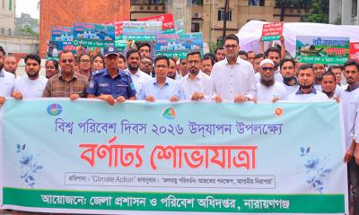 সরকারের পরিবেশবান্ধব বৃক্ষ রোপণ কার্যক্রম প্রশংসিত : জেলা প্রশাসক