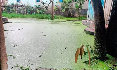 বর্ষণে বন্দরে ৩টি ওয়ার্ডে তীব্র জলাবদ্ধতা