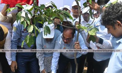 গাছ লাগানো একটা ইবাদতের মতো: ঢাকা বিভাগীয় কমিশনার