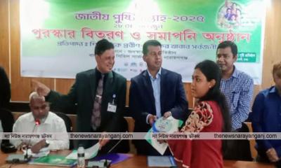 পুষ্টি মনে করে আমরা বিষ খাচ্ছি : ডিসি
