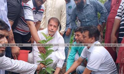 জোবায়দা রহমানের জন্মদিন উপলক্ষে টুটুলের বৃক্ষরোপণ কর্মসূচি পালন