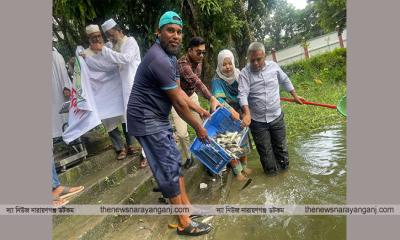 আড়াইহাজারে উন্মুক্ত জলাশয়ে মাছের পোনা অবমুক্ত