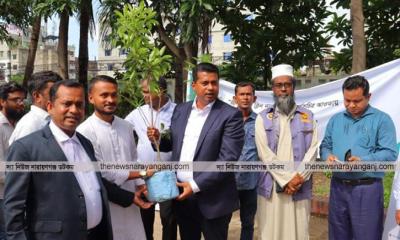 শুধু বৃক্ষরোপণ নয় সেটিকে বড় করে তুলার আহ্বান ডিসির
