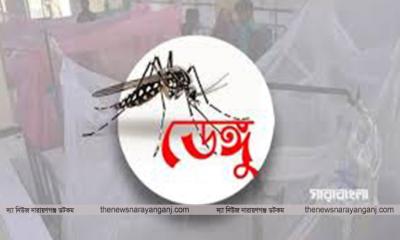 ১৫ দিনে হাসপাতালে শতাধিক ডেঙ্গু রোগী