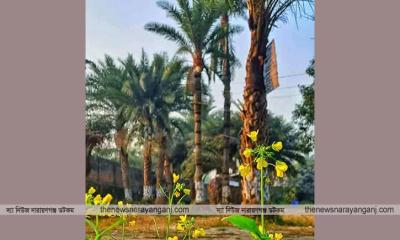 বন্দরে রস বাগিচা’য় শীতের হারানো ঐতিহ্য