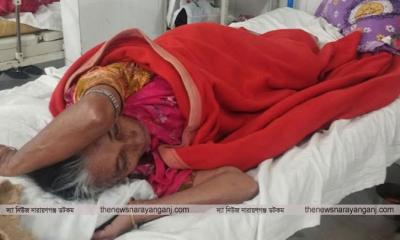 সোনারগাঁয়ে ছেলের কাছে পাওনা টাকা না পেয়ে মায়ের উপর হামলা