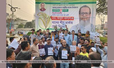 আমরা নিজের খেয়ে ধানের শীষ : শকু