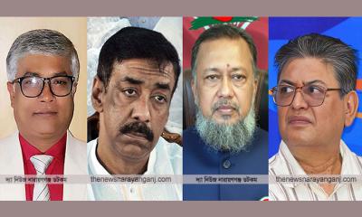 আওয়ামী লীগে গডফাদার, বিএনপিতে গান্ধী পোকা