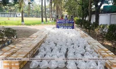 কোস্ট গার্ডের অভিযানে প্রায় আড়াই কোটি টাকার চিংড়ি রেণু জব্দ