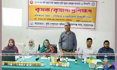 নারায়ণগঞ্জ সদরে দিনব্যাপি কৃষক প্রশিক্ষণ অনুষ্ঠিত 