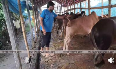 শূণ্য থেকে গরুর খামারে সফল উদ্যোক্তা ফাহিম
