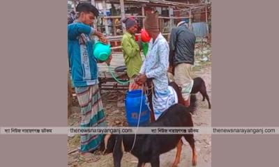 হাটে নল গলায় ভরে পানি খাইয়ে ছাগল হত্যা বেপারী কর্মচারী গ্রেফতার