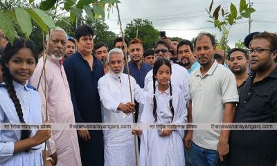 সোনারগাঁয়ে ২ লাখ গাছ রোপন করা হবে : এমপি মান্নান