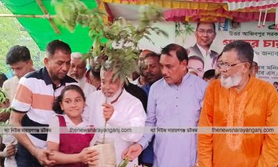 দুই লাখ গাছ লাগানো হবে : এমপি মান্নান
