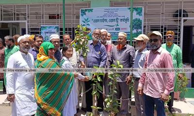 বেগম রোকেয়া খন্দকার উচ্চ বিদ্যালয়ে ঢাক-ঢোল পিটিয়ে বৃক্ষরোপণ