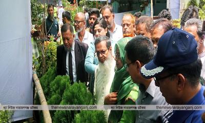 চাষাঢ়ায় জিয়া হলে বৃক্ষ মেলা শুরু